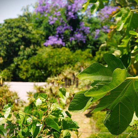 Swellendam Country Lodge - Guest House - B&B Ngoại thất bức ảnh