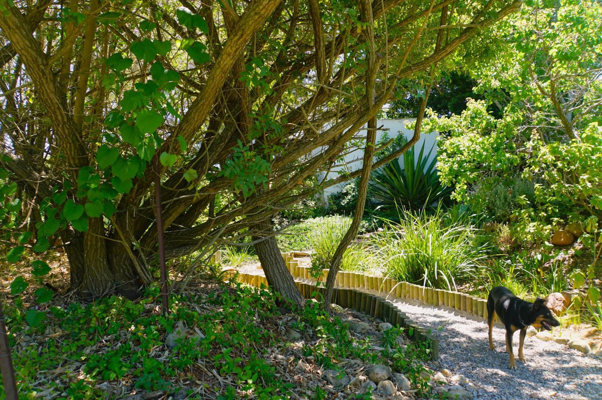 Swellendam Country Lodge - Guest House - B&B Ngoại thất bức ảnh