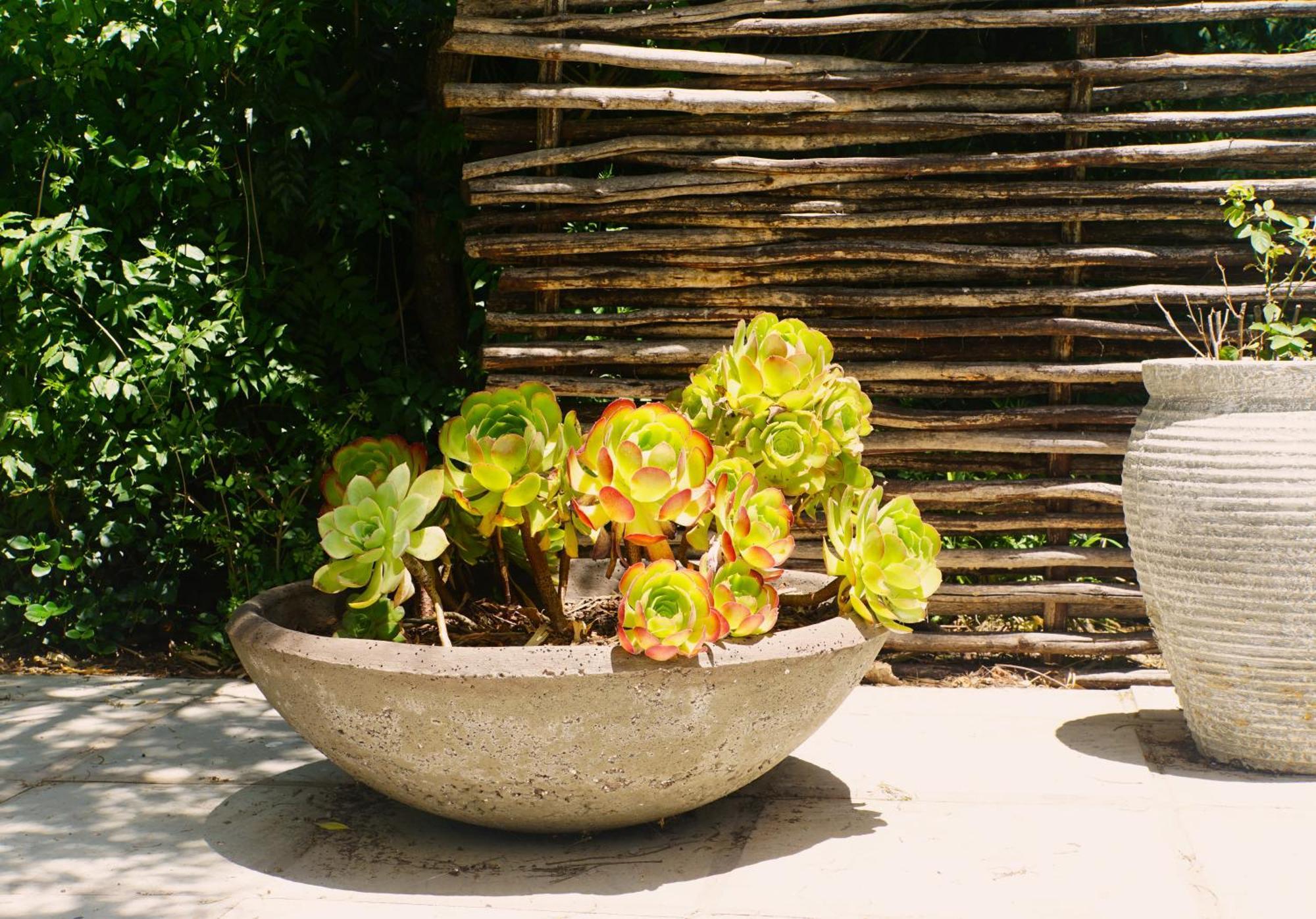 Swellendam Country Lodge - Guest House - B&B Ngoại thất bức ảnh
